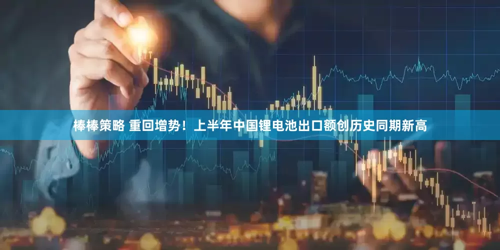 棒棒策略 重回增势！上半年中国锂电池出口额创历史同期新高