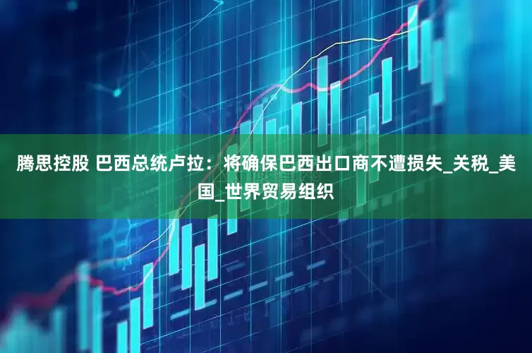 腾思控股 巴西总统卢拉：将确保巴西出口商不遭损失_关税_美国_世界贸易组织
