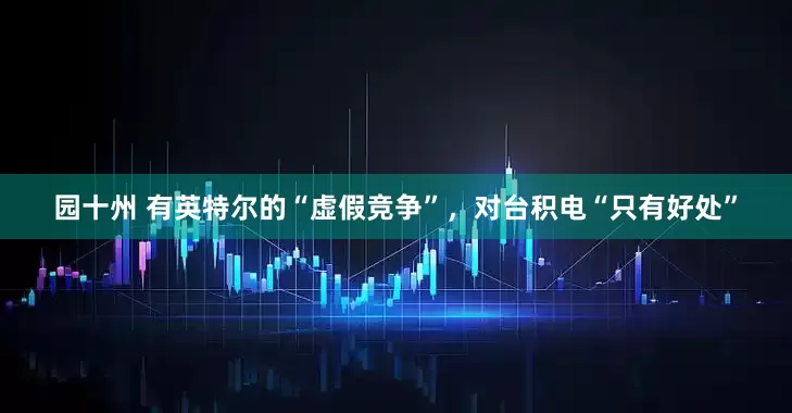 园十州 有英特尔的“虚假竞争”，对台积电“只有好处”