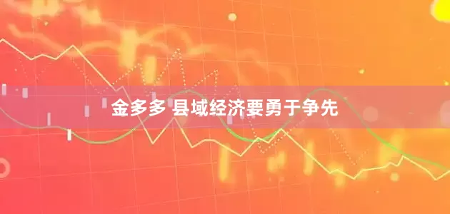 金多多 县域经济要勇于争先