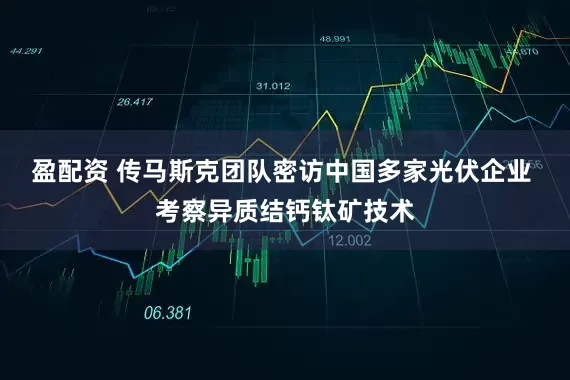 盈配资 传马斯克团队密访中国多家光伏企业 考察异质结钙钛矿技术