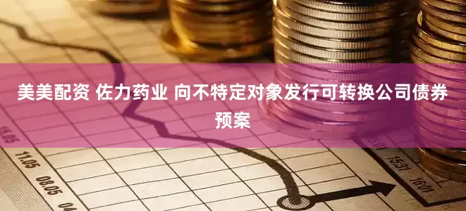 美美配资 佐力药业 向不特定对象发行可转换公司债券预案