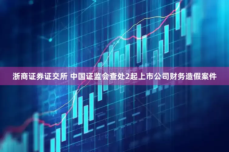 浙商证券证交所 中国证监会查处2起上市公司财务造假案件